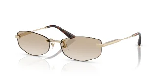 Jimmy Choo Sunglasses JC4013D
