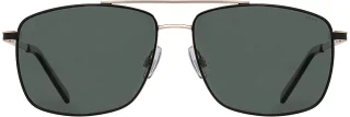 INVU Sunglasses INVU- 310