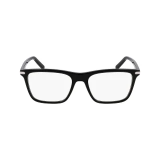 Salvatore Ferragamo Eyeglasses SF2959N