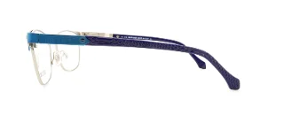Roberto Cavalli Eyeglasses RC 0762