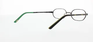 Polo Eyeglasses PP8017