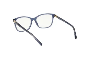 Viva Eyeglasses VV50010