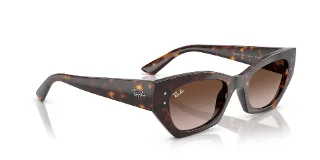 Ray Ban Sunglasses RB4430