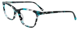 060 Transparent Cyan Tortoise