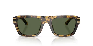 Dolce & Gabbana Sunglasses DG4496
