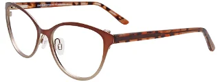 Easyclip Eyeglasses EC498