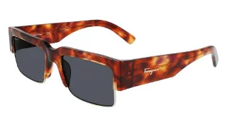 Salvatore Ferragamo Sunglasses SF276S