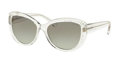 Coach Sunglasses HC8162 L147