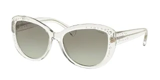 Coach Sunglasses HC8162 L147