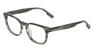 Avio Eyeglasses AOV2308