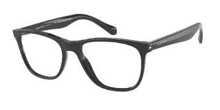 Giorgio Armani Eyeglasses AR7211F