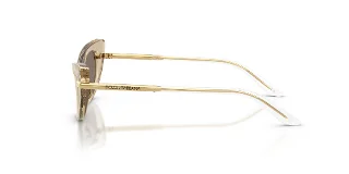 Dolce & Gabbana Sunglasses DX4008