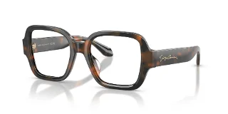 6478 Brown Tortoise