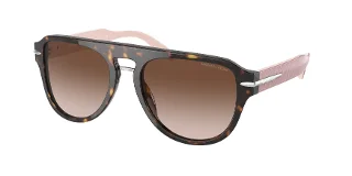 300713 Dark Tortoise