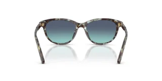 Dolce & Gabbana Sunglasses DX4010
