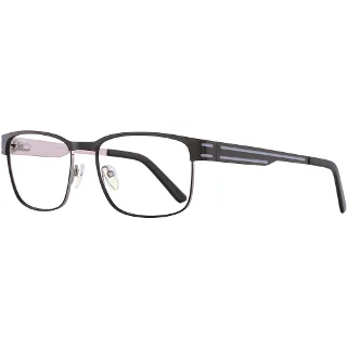 Apollo Eyeglasses AP173