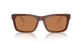 Emporio Armani Sunglasses EA4224F