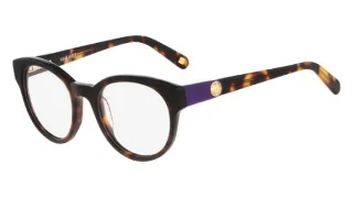 218 Soft Tortoise