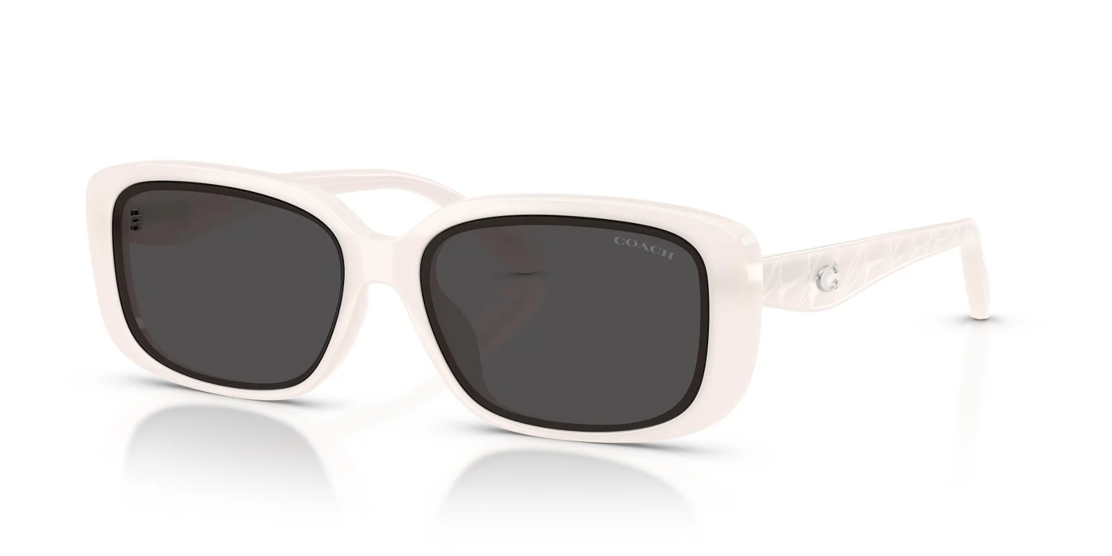 Coach Sunglasses HC8444D