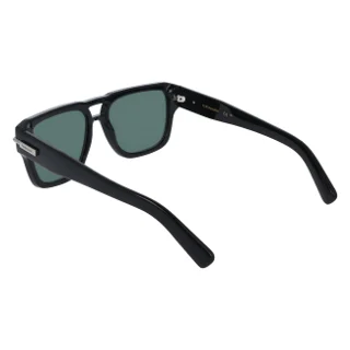 Salvatore Ferragamo Sunglasses SF2070S
