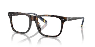 5003 Shiny Dark Havana