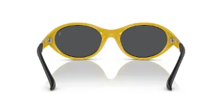 Polo Sunglasses PH4197U