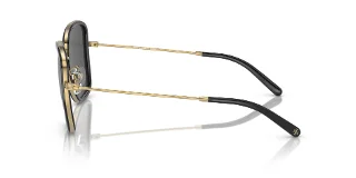 Tory Burch Sunglasses TY6101