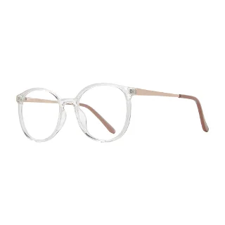 Stylewise Eyeglasses SW532