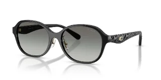 Coach Sunglasses HC8445D
