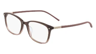 206 Brown Gradient