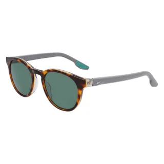 243 Tortoise / Green