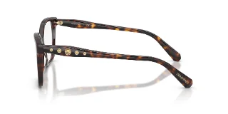 Swarovski Eyeglasses SK2061F