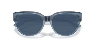 Jimmy Choo Eyeglasses JC3035