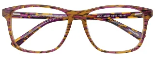 Easyclip Eyeglasses EC397