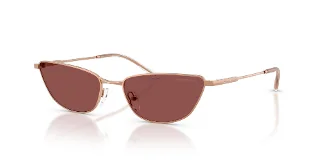 Emporio Armani Sunglasses EA2174B