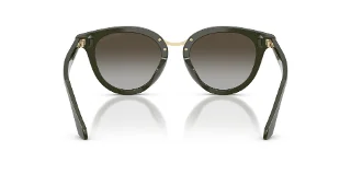 Giorgio Armani Sunglasses AR8252U