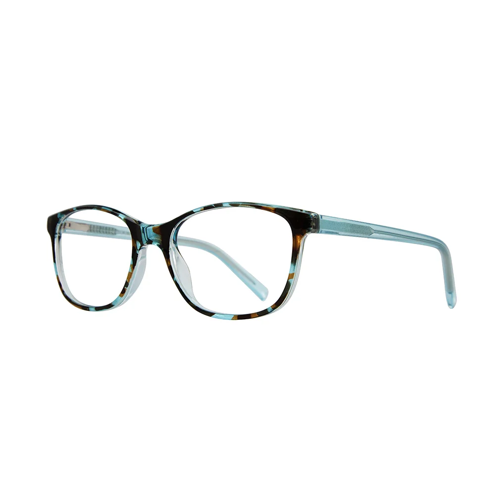 Stylewise Eyeglasses SW535