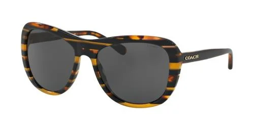 Coach Sunglasses HC8202 L1629