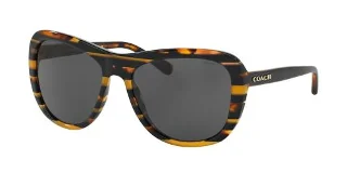 Coach Sunglasses HC8202 L1629