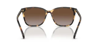 Ralph Sunglasses RA5293