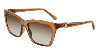 210 Brown