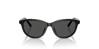 Dolce & Gabbana Sunglasses DX4010