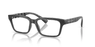 8356 Shiny Transparent Grey