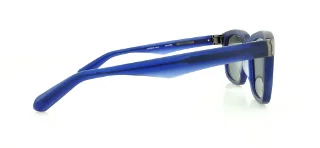 Dragon Sunglasses DR510S ROBBS