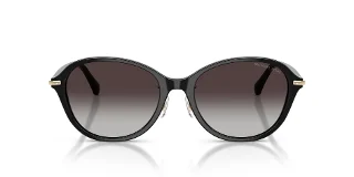 Michael Kors Sunglasses MK2289D