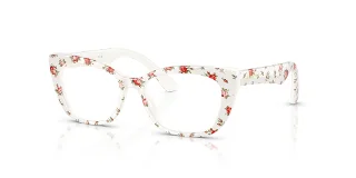 Dolce & Gabbana Eyeglasses DX3357