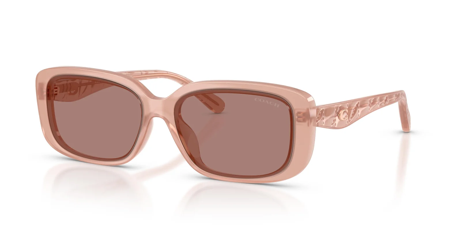 Coach Sunglasses HC8444D