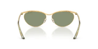 Swarovski Sunglasses SK7046