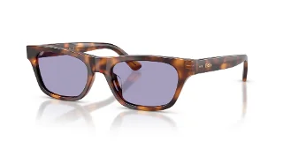63551A Shiny Brown Tortoise