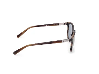 Harley Davidson Sunglasses HD00019